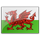 flag_wales